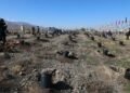 Үндэсний цэцэрлэгт хүрээлэнд 1000 мод тарилаа