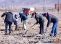 “Алтан намар-Мод тарих улирал” арга хэмжээнд УИХ-ын Тамгын газрын албан хаагчид нэгдлээ