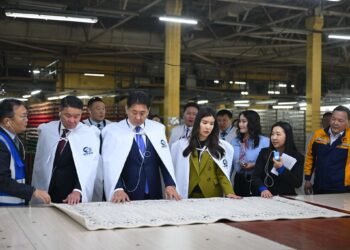 “Эрдэнэт хивс” ХХК дотоодын зах зээлийн 88 хувийг хангаж байна